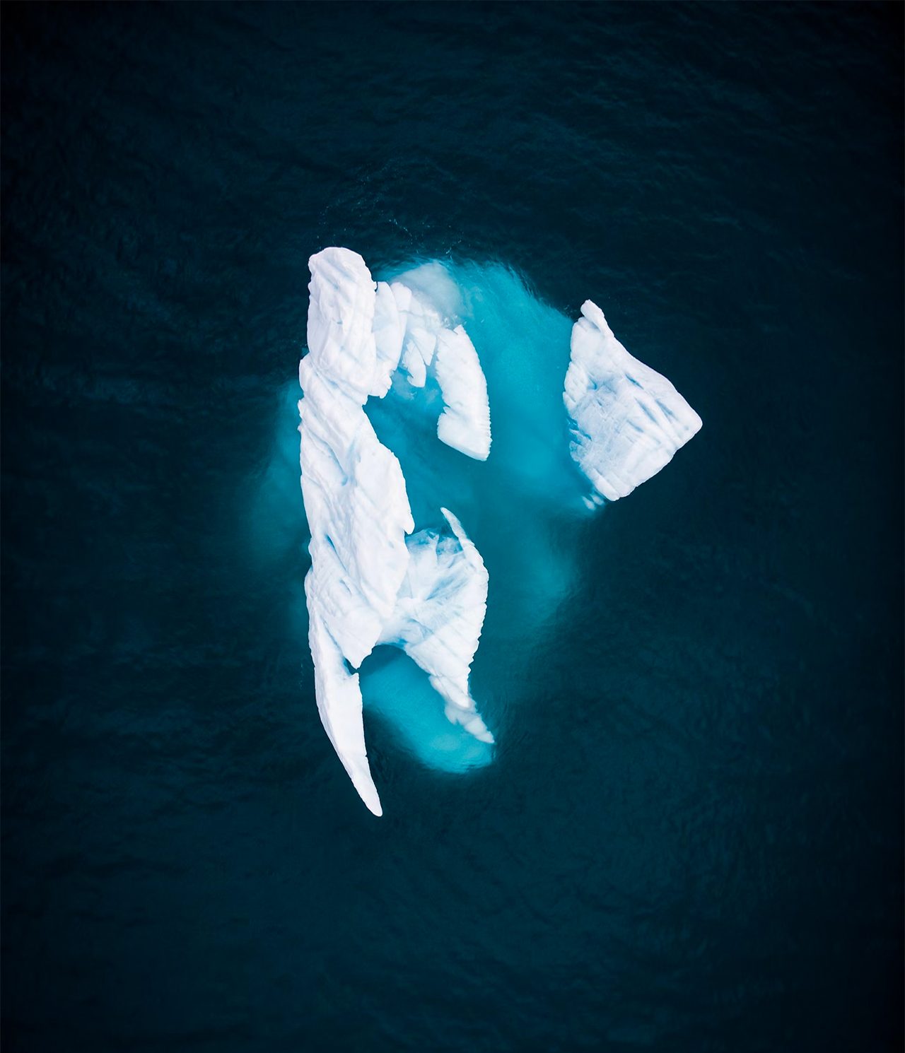 Zill - Multi-purpose WordPress Elementor Theme