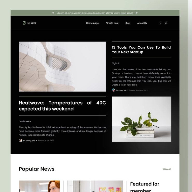 Zill - Multi-purpose WordPress Elementor Theme