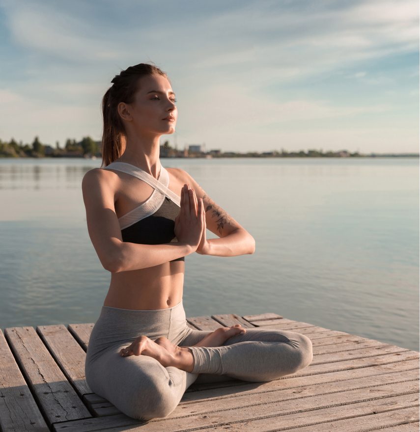 Zill - Multi-purpose WordPress Elementor Theme